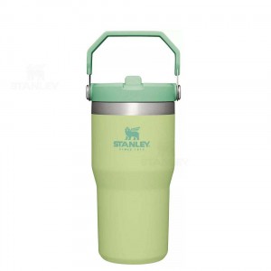 Tumblers Stanley The IceFlow Flip Straw | 20 OZ | Italia S1100