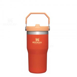 Tumblers Stanley The IceFlow Flip Straw | 20 OZ | Italia S1172