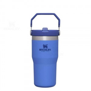 Tumblers Stanley The IceFlow Flip Straw | 20 OZ | Italia S1645