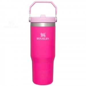 Tumblers Stanley The IceFlow Flip Straw | 30 OZ | Italia S2238