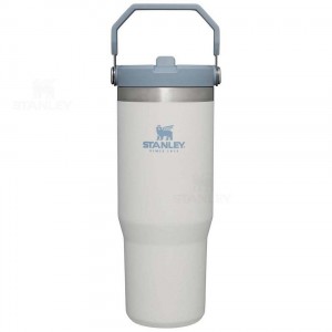 Tumblers Stanley The IceFlow Flip Straw | 30 OZ | Italia S2168