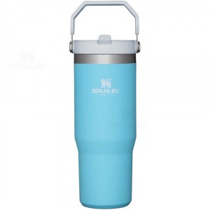 Tumblers Stanley The IceFlow Flip Straw | 30 OZ | Italia S1284