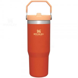 Tumblers Stanley The IceFlow Flip Straw | 30 OZ | Italia S1127