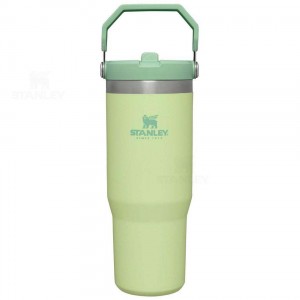 Tumblers Stanley The IceFlow Flip Straw | 30 OZ | Italia S2241