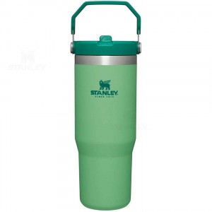 Tumblers Stanley The IceFlow Flip Straw | 30 OZ | Italia S1285