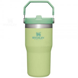 Tumblers Stanley The IceFlow Flip Straw | 20 OZ | Italia S2052