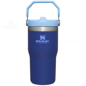 Tumblers Stanley The IceFlow Flip Straw | 20 OZ | Italia S2144