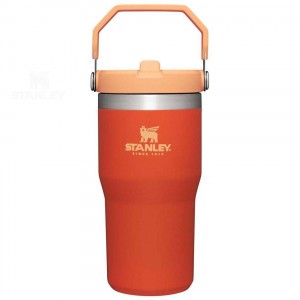 Tumblers Stanley The IceFlow Flip Straw | 20 OZ | Italia S1114