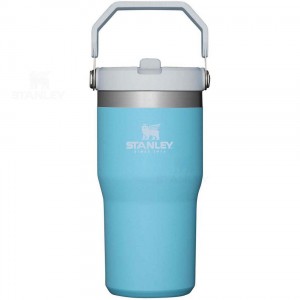 Tumblers Stanley The IceFlow Flip Straw | 20 OZ | Italia S2277