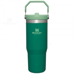 Tumblers Stanley The IceFlow Flip Straw | 30 OZ | Italia S1994