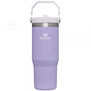 Tumblers Stanley The IceFlow Flip Straw | 30 OZ | Italia S1262