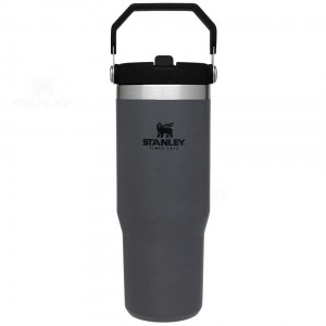 Tumblers Stanley The IceFlow Flip Straw | 30 OZ | Italia S1327