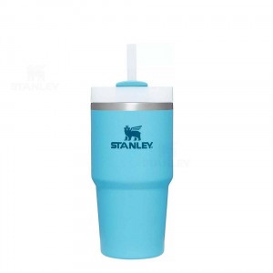 Tumblers Stanley The Quencher H2.0 FlowState™ | 20 OZ | Italia S1467