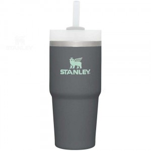 Tumblers Stanley The Quencher H2.0 FlowState™ | 14 OZ | Italia S2360