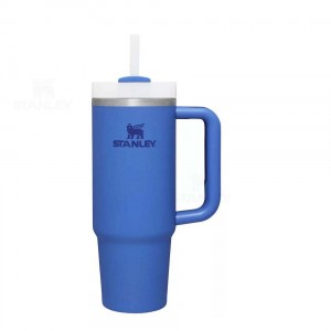 Tumblers Stanley The Quencher H2.0 Flowstate™ | 30 OZ | Italia S1737