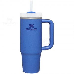 Tumblers Stanley The Quencher H2.0 Flowstate™ | 30 OZ | Italia S1736