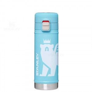Tumblers Stanley The Wild Imagination Flowsteady™ Big Bear Bottle | 17 OZ | Italia S1538