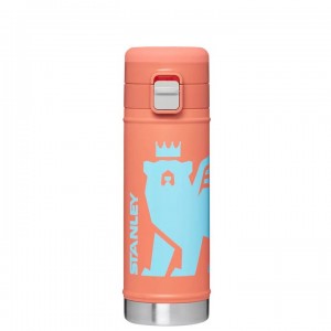 Tumblers Stanley The Wild Imagination Flowsteady™ Big Bear Bottle | 17 OZ | Italia S2395